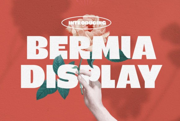 Bermia: A Bold, Elegant Display Font for Digital Branding